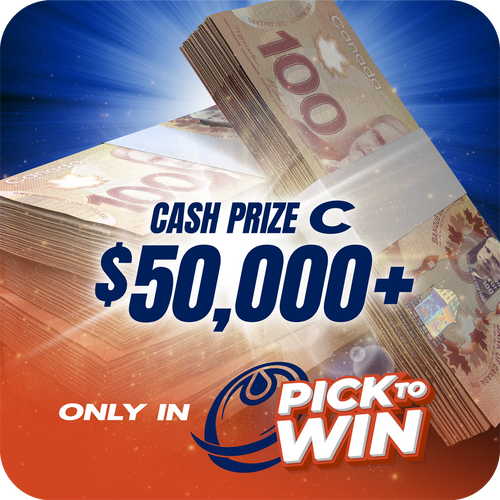 Prize image 3
