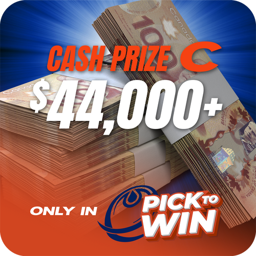 Prize image 3