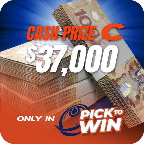 Prize image 5